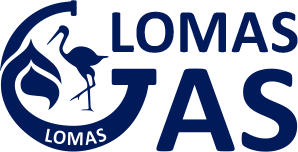 LOMAS GAS